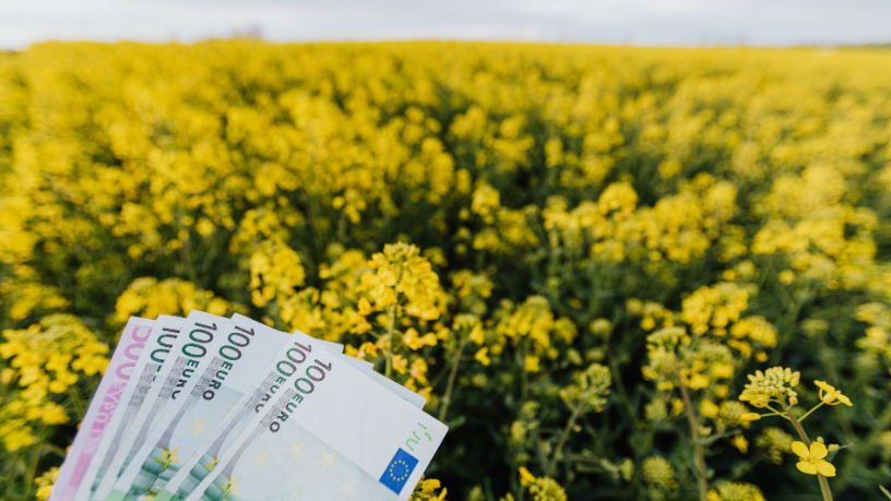 Para Paulo de Matos Junior, confiança no ecossistema financeiro nasce de transparência, monitoramento e governança sólida.