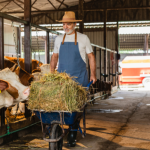 João Eustáquio De Almeida Junior analisa como a pecuária sustentável permite aumentar a produção com eficiência, sem a necessidade de expandir áreas.