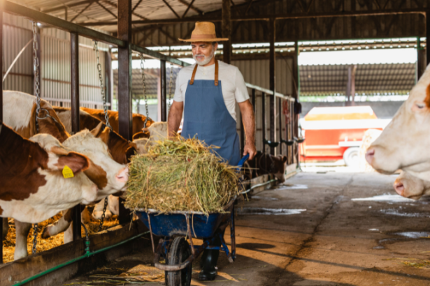 João Eustáquio De Almeida Junior analisa como a pecuária sustentável permite aumentar a produção com eficiência, sem a necessidade de expandir áreas.