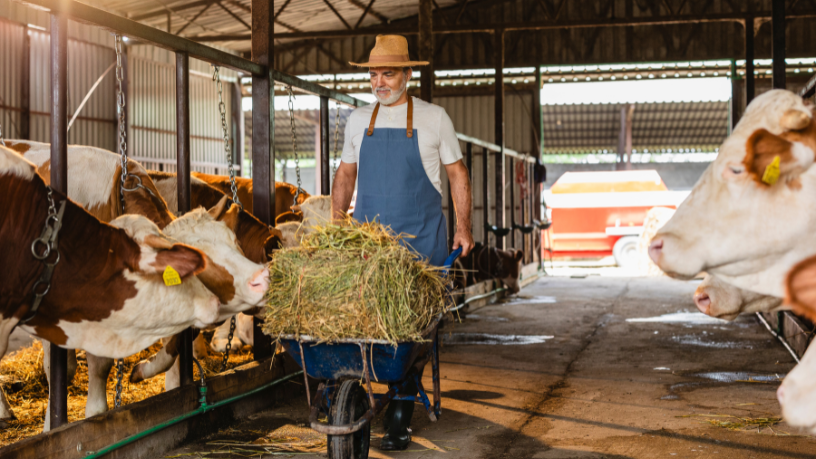 João Eustáquio De Almeida Junior analisa como a pecuária sustentável permite aumentar a produção com eficiência, sem a necessidade de expandir áreas.