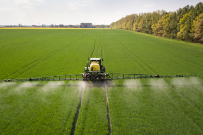 Parajara Moraes Alves Junior